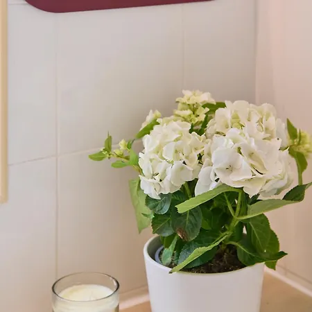 Apartmán Pateo Do Tempo