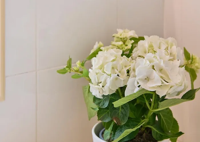 Apartamento Pateo Do Tempo